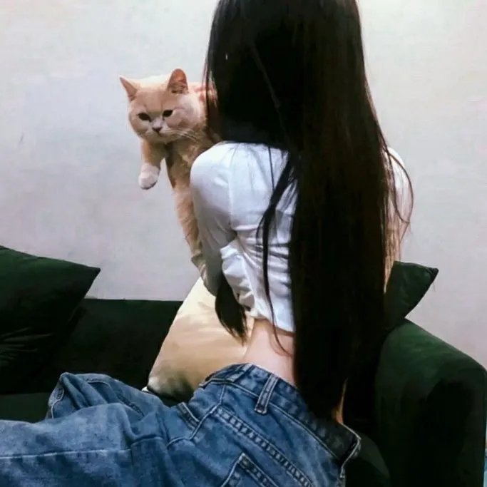 完美丈夫